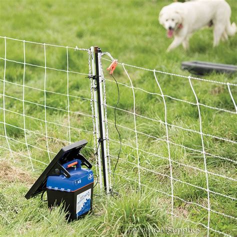 electric fence for dogs near me